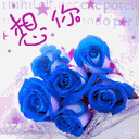 江月江月江金&nbsp;&nbsp;&nbsp;币:    经验值:   向ta提问