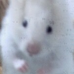 个人中心_360问答